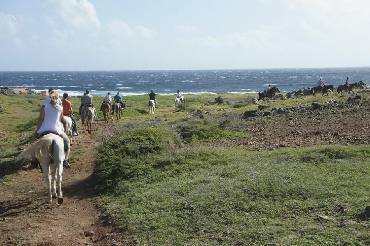 Tour #3 North-East Coast & Sand Dunes